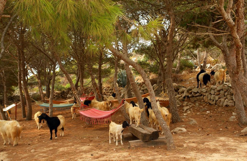 Lisola Residence ليفانزو المظهر الخارجي الصورة